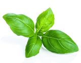 Basil Green Seeds