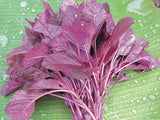 Amaranthus Red Seeds