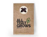Basil Purple Seeds