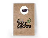 Beans Purple Seeds
