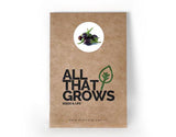 Brinjal Cluster Small Seeds
