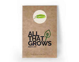 Brinjal Green Long Seeds