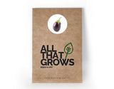 Brinjal Oval Seeds